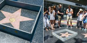 Street Artist Built A Wall Around Donald Trump’s Hollywood Star