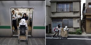 Living With Humanoid Robot