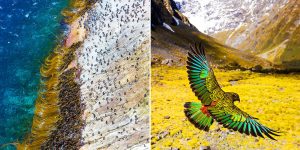 Beautiful New Zealand: Earth’s Mythical Islands