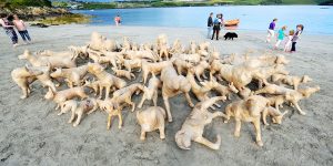 The Dog Project: 120 Playful Papier-Mâché Pooches Let Loose On The Beach