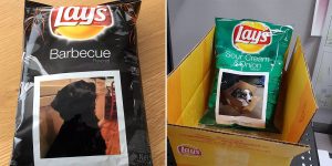 Lay's Summer Days Promotion Puts Your Fav Summer Photo An A Bag Of Chips