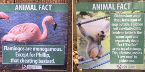 Fake Animal Fact Posters Posted At The Los Angeles Zoo Are Priceless