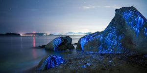 Bioluminescent Sea Fireflies Glittering Like Diamonds On The Rocks And Sand