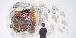 Artist Courtney Mattison Sculpts Colossal Ceramic Coral Reefs