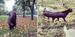 Panoramic Photos That Went Horribly Wrong