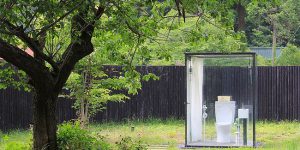 Probably, This Is The World’s Most Peaceful Toilet