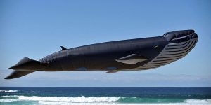 A Flying Aquarium With A 90ft Whale... This Is Actual Size!