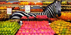 Stunning Photos Of Wild Animals Invade The Supermarket