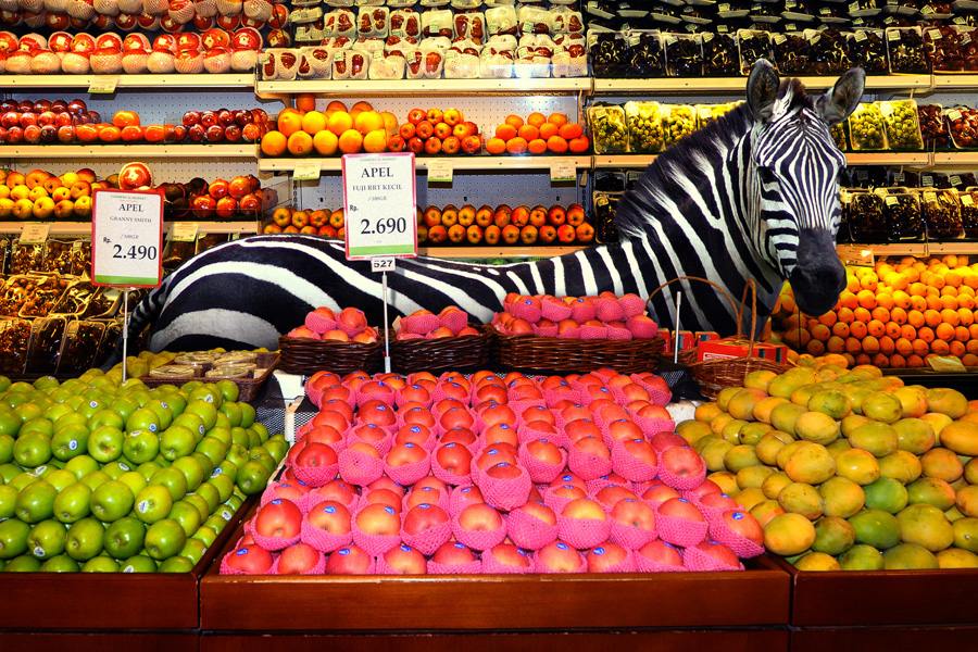 Stunning Photos Of Wild Animals Invade The Supermarket » Design You Trust