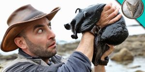 World’s Largest Slug is Bigger, Slimier, and Way Cooler Than You’d Imagine