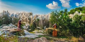 UK Royal Society Of Biology’s Photographer Of The Year Shortlist