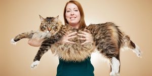 Some Entries For The Guinness World Records 2017