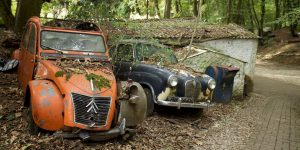 An Eccentric Artist Has Collected Fifty Vintage Cars And Left Them To Rot In A Forest – And Now They're Worth Over One Million Dollars