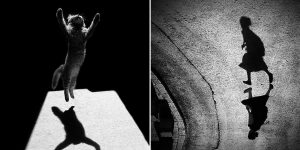 The Beauty Of The Light And Shadow Photography