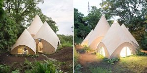 Retired Ladies Live Their Dreamlife In A Cosy Forest House Designed By A Japanese Architect