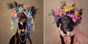 Rescued Dogs Dressed Up In Sophisticated Outfits, Floral Crowns To Get Adopted