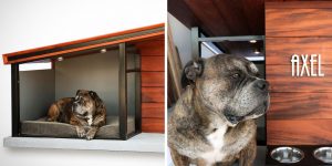 This Modern Dog House Is Designed To Fit Your Home’s Aesthetic