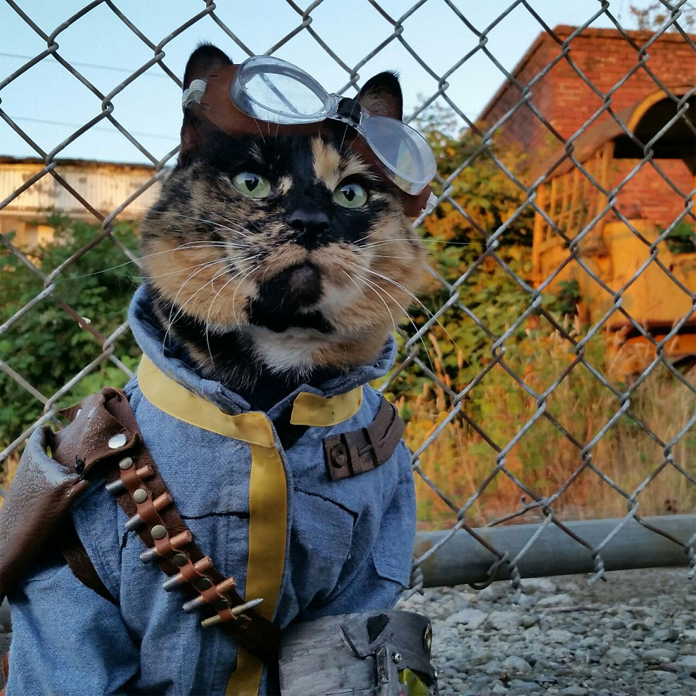 Cosplay Cats Are Taking Over The Internet » Design You Trust — Design ...