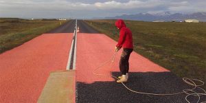 Iceland Road Painted To Stop Arctic Terns Being Killed