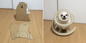 This Dog Loves to Play Dress Up With Cardboard Cutouts
