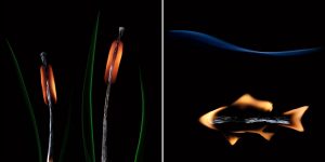 Playing With Matches: Mesmerizing Photo Artworks By Stanislav Aristov