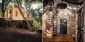 You Can Now Spend The Night In This Tiny Treehouse, Which Has A Sauna, Hot Tub And Slide