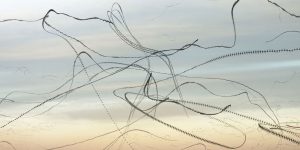 The Spanish Photographer Digitally Combines Sequential Images Of Birds To Create A Fantastic Single Image