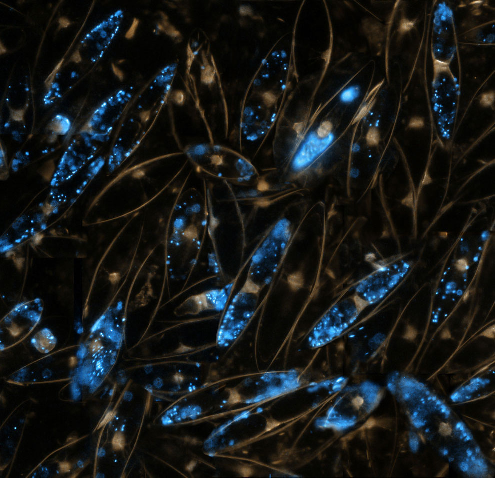 Stunning Images From The Uk Wildscreen Festival 2016 The