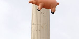 Flying Pig Recreates Pink Floyd Album Cover
