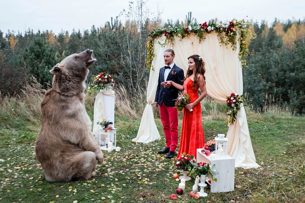 This Couple Invites Brown Bear Along To Their Very Special Ceremony ...