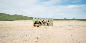 Desertification In Mongolia In Surreal Photographs By Daesung Lee
