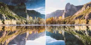 Photographer Finds Something Incredible After Flipping His Photo