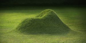 Meet TERRA, The Real Living Grass Furniture