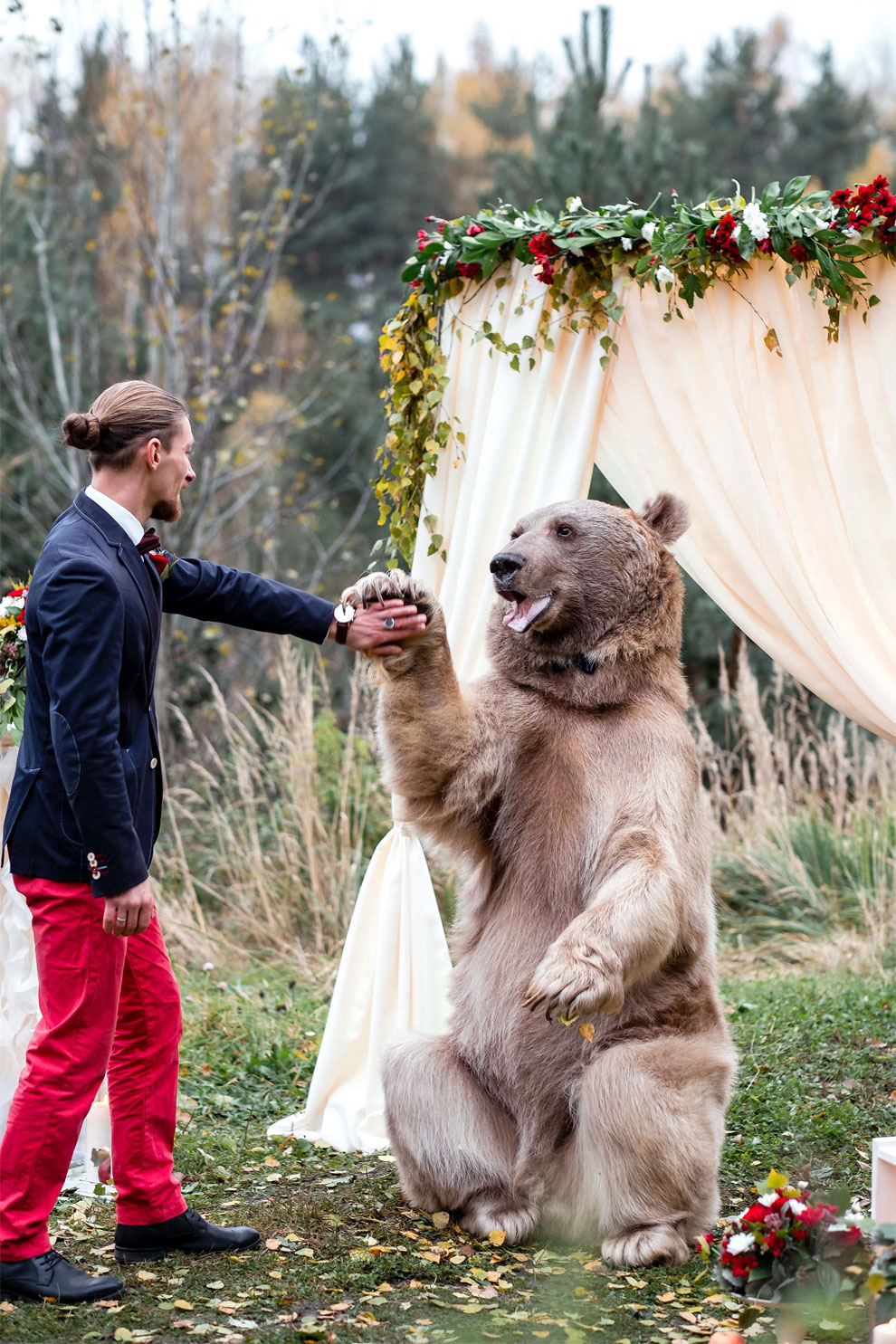 This Couple Invites Brown Bear Along To Their Very Special Ceremony ...