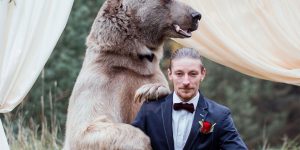 This Couple Invites Brown Bear Along To Their Very Special Ceremony