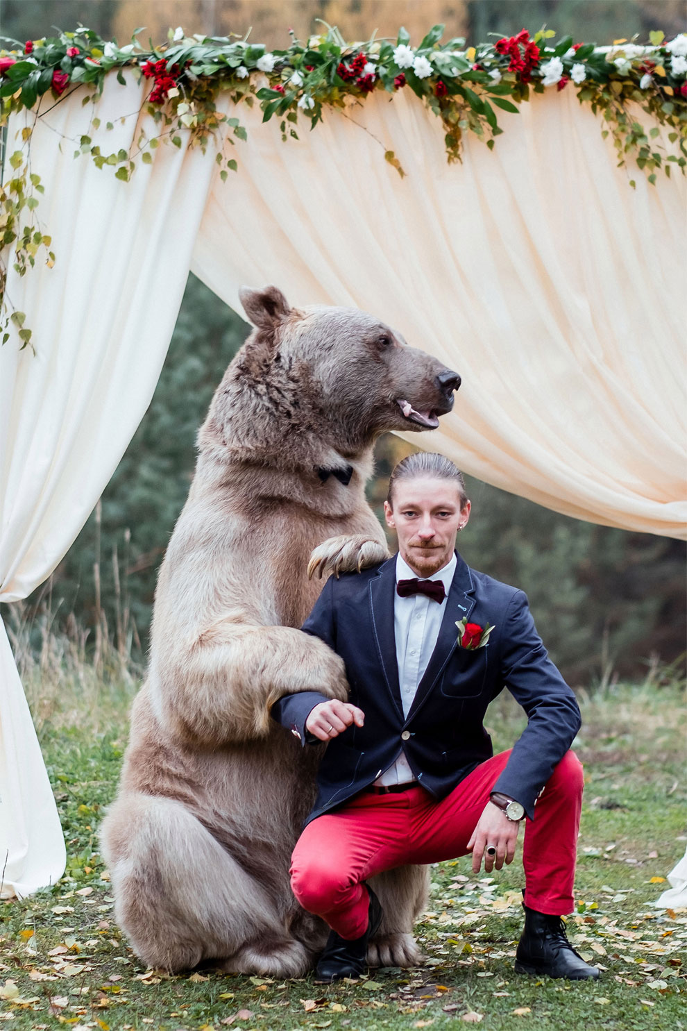 This Couple Invites Brown Bear Along To Their Very Special Ceremony ...