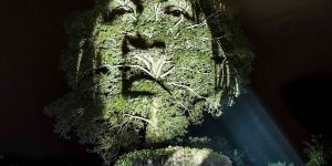 Philippe Echaroux Created The World’s First Street Art In The Amazonian Rainforest