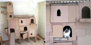 Human Builds A Dragon-Shaped Cardboard House For His Cat In Order To Please His Master