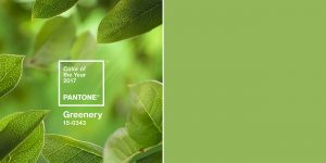 2017 Color Of The Year Is Greenery According To PANTONE