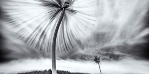 15 Finalists Of The Art Of Building Architectural Photography 2016