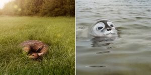 An Artist Brings Animals To Life Using Body Paint And Contorted Models