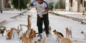Wonderful Images That Will Restore Your Faith In Humanity In 2016