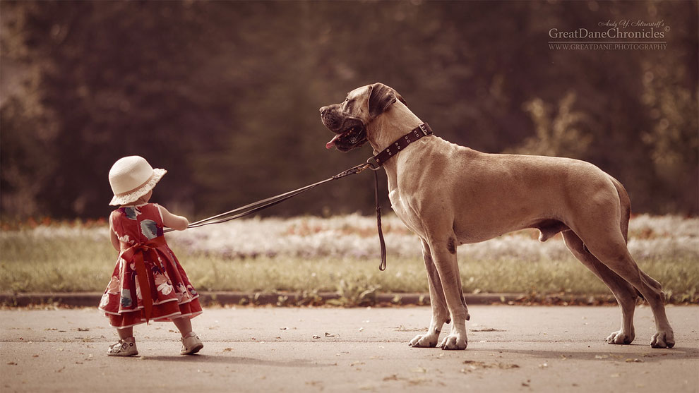 Incredible Photo Series Shows Huge Dogs Playing With Their Tiny Toddler ...