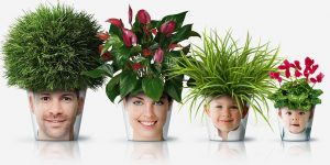 Facepot - The Design Concept Of Original Pots For Flowers