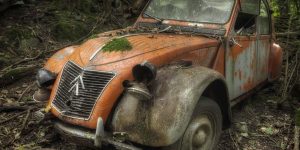 Terrific Images Reveal The Vulnerable Beauty Of Abandoned Cars That Have Been Left To Rust Over The Years