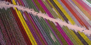 Above And Beyond: The World's Best Drone Photography 2016 Winners