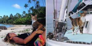 This Woman And Her Cat Have Been On The Most Gorgeous Sailboat Adventure Since 2006