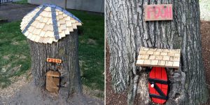 This Tiny, Painted Door At The Base Of A Tree Stump Has Been A Fixture Of The Harvard University Campus For Decades