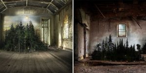 Nature Interiors: When Nature Invades Abandoned Places