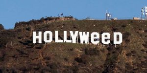 Prankster Changed The Hollywood Sign To “Hollyweed” To Celebrate The Decriminalization Of Marijuana, Again!